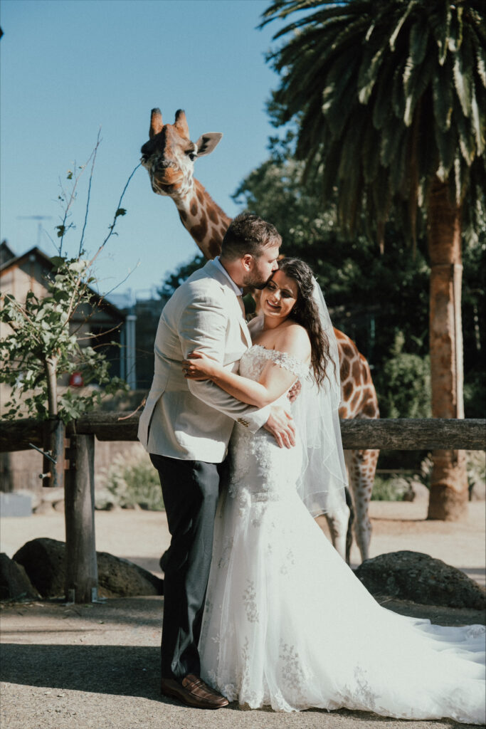 Weddings at Melbourne Zoo