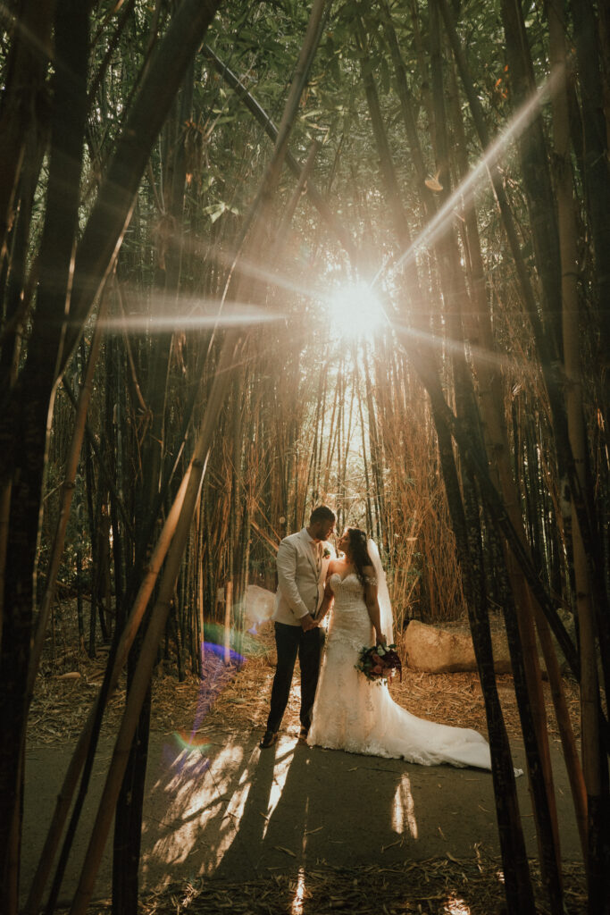 Sunset image with couple at Melbourne Zoo