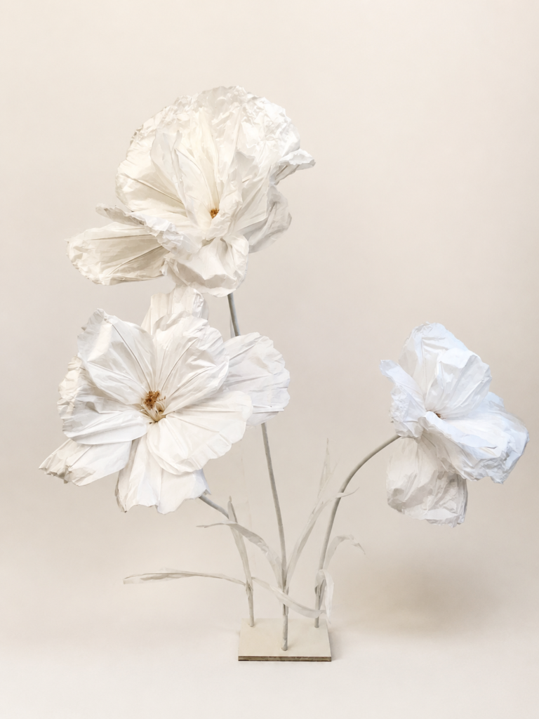 Three white giant paper flowers available for hire in Melbourne